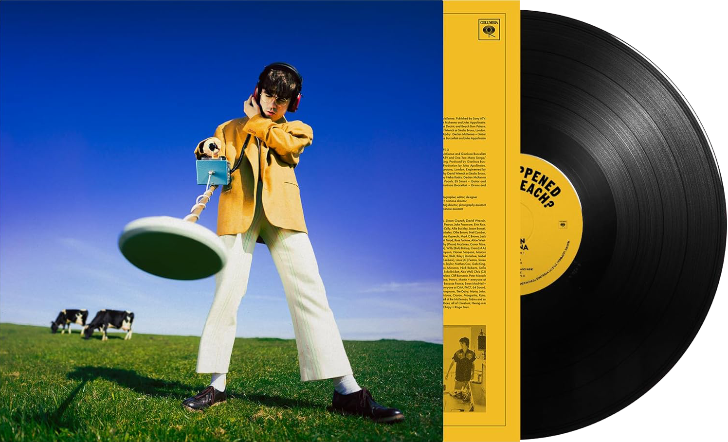 Image of Artwork for Declan McKenna's What Happened to the Beach? (LP)